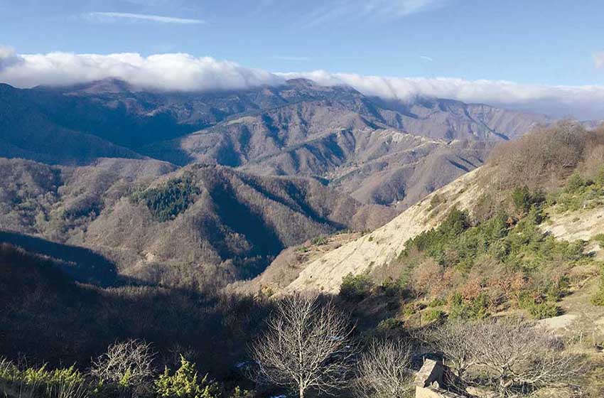 Monti tra Corniolo e foresta Campigna nell'Appenino romagnolo