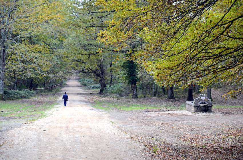 fontanile testa di bovo